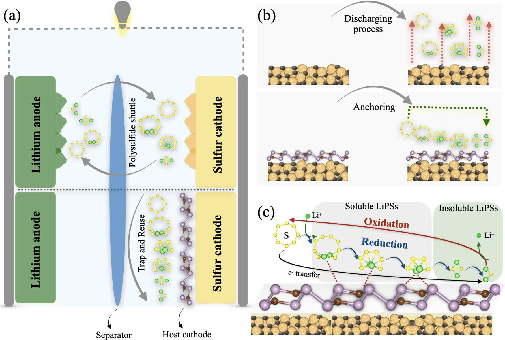2D Carbon Phosphide for Li-S Batteries