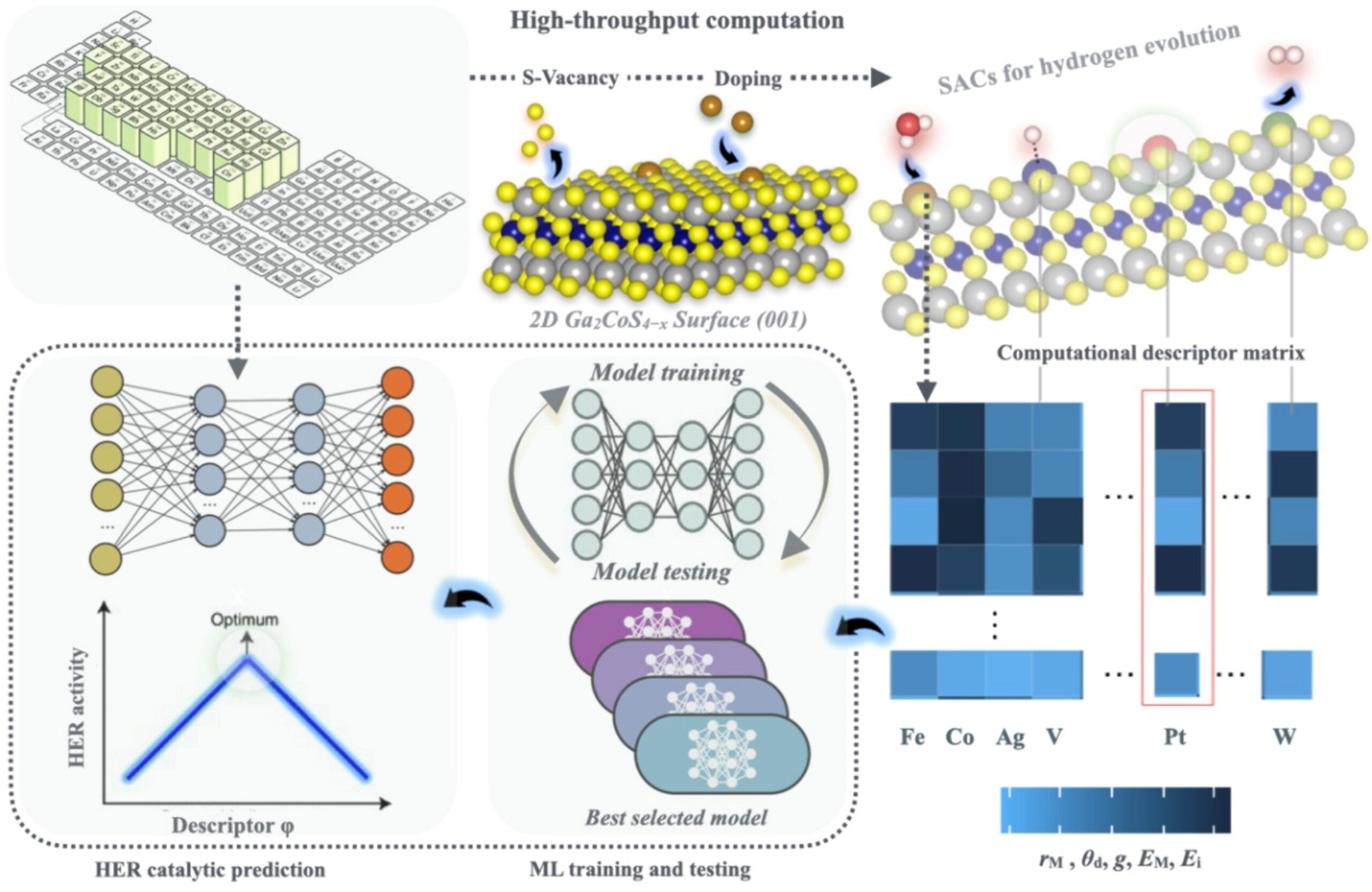 ML Screening of Single-Atom Catalysts