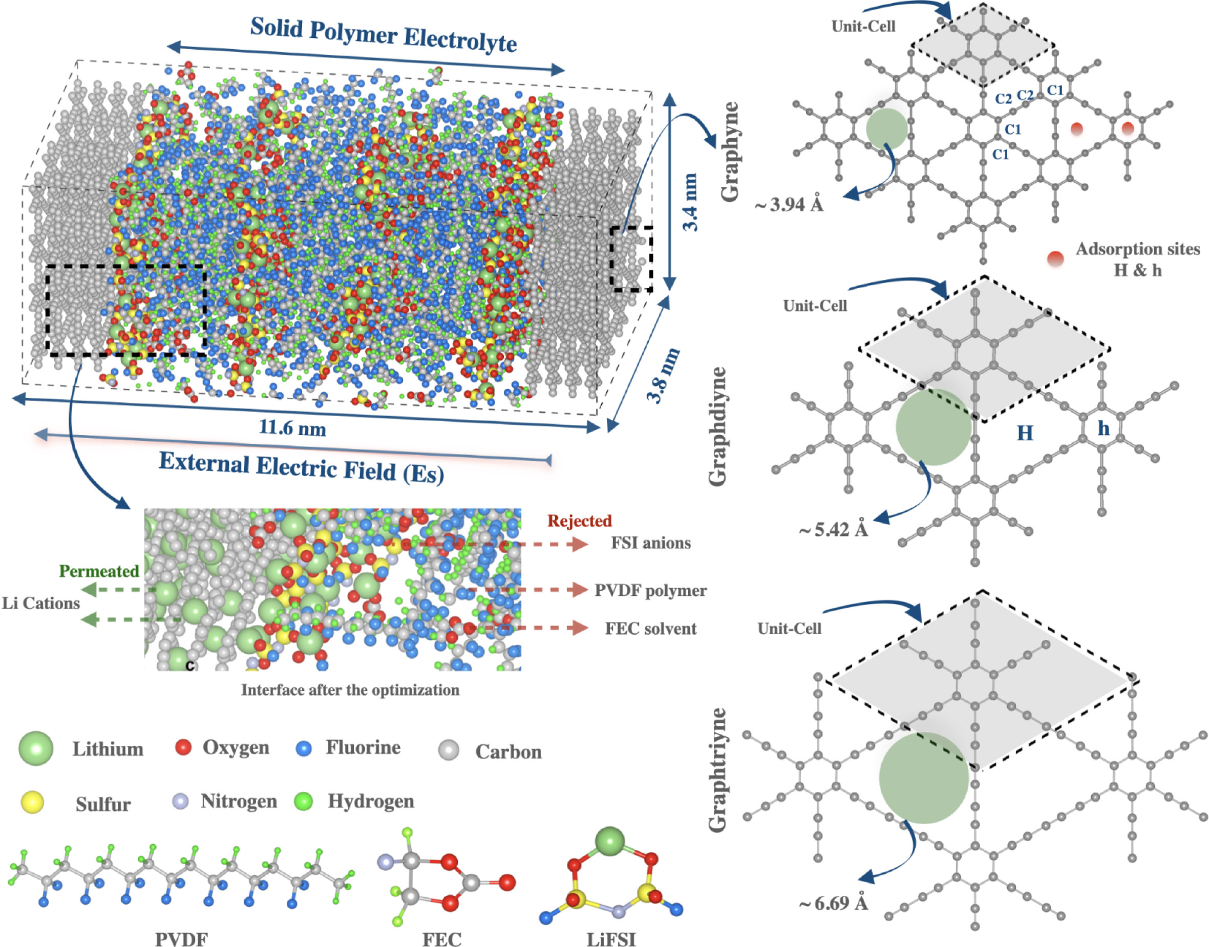 Graphyne Membrane Protection